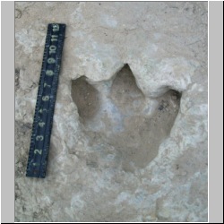 100_0113 (2009-24-07)m.jpg